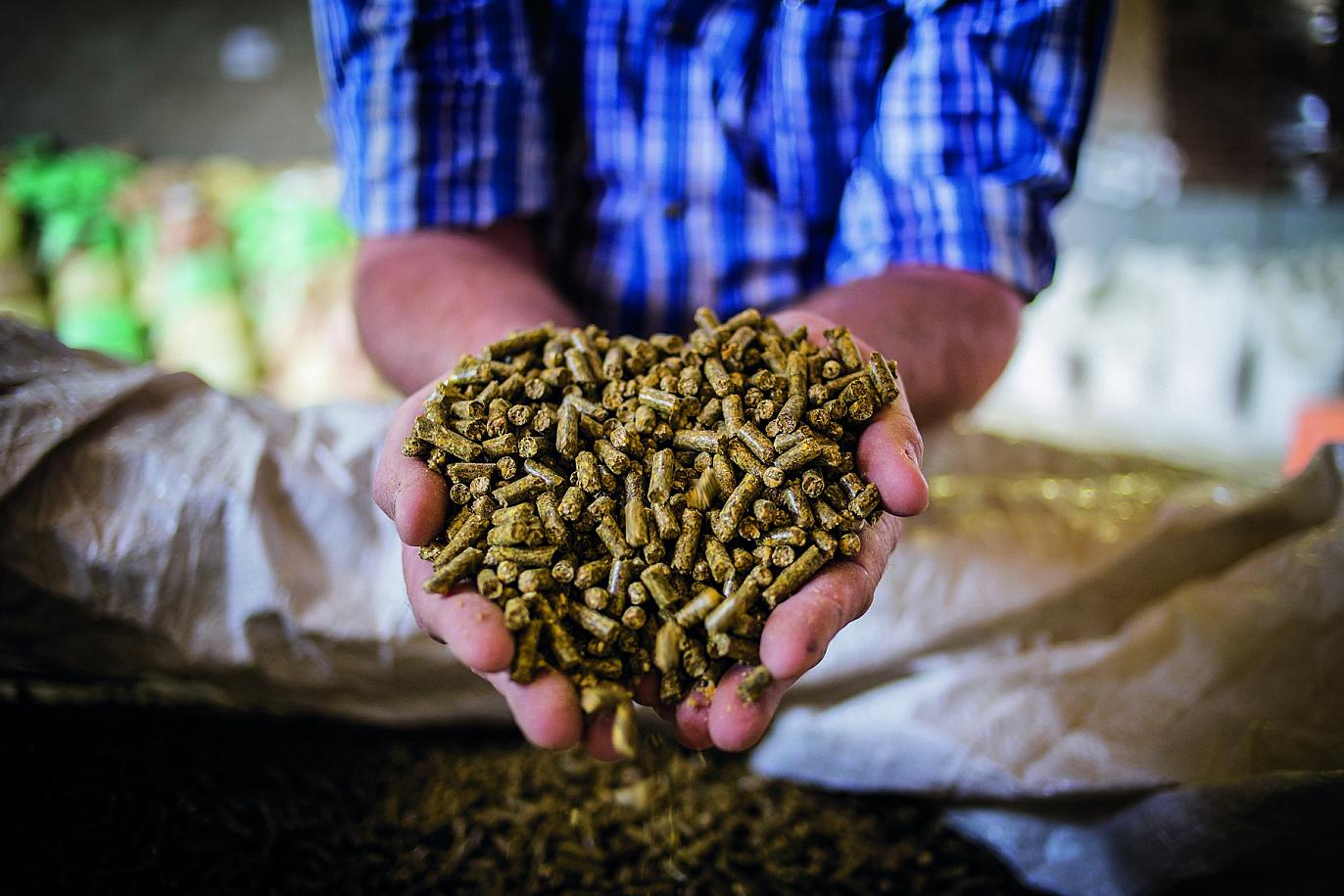 Ketenprogramma Varken op z'n Best vermindert de druk op natuur en milieu.