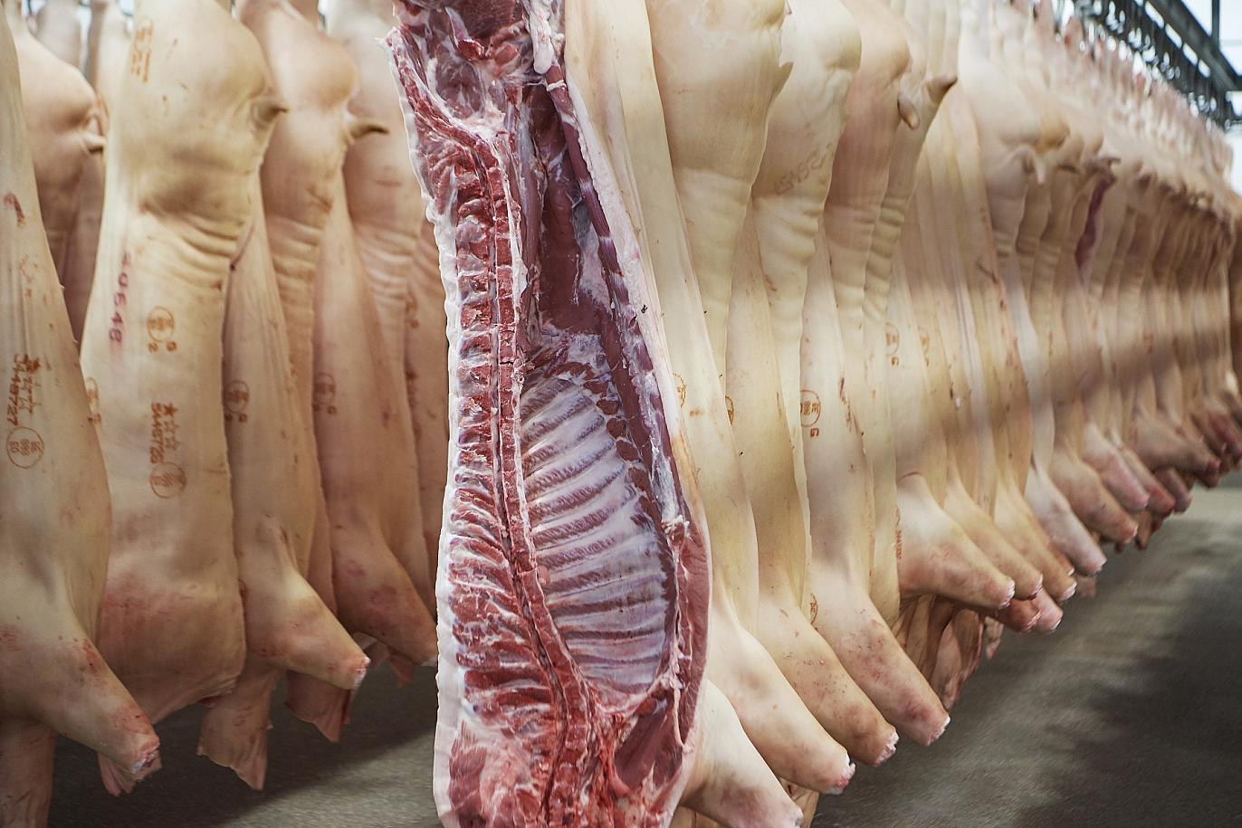 Karkassen varken (2)