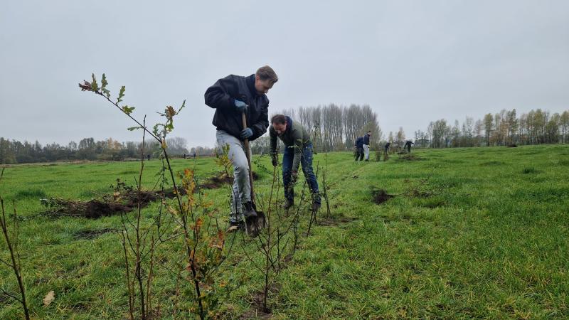 Boomplantdag