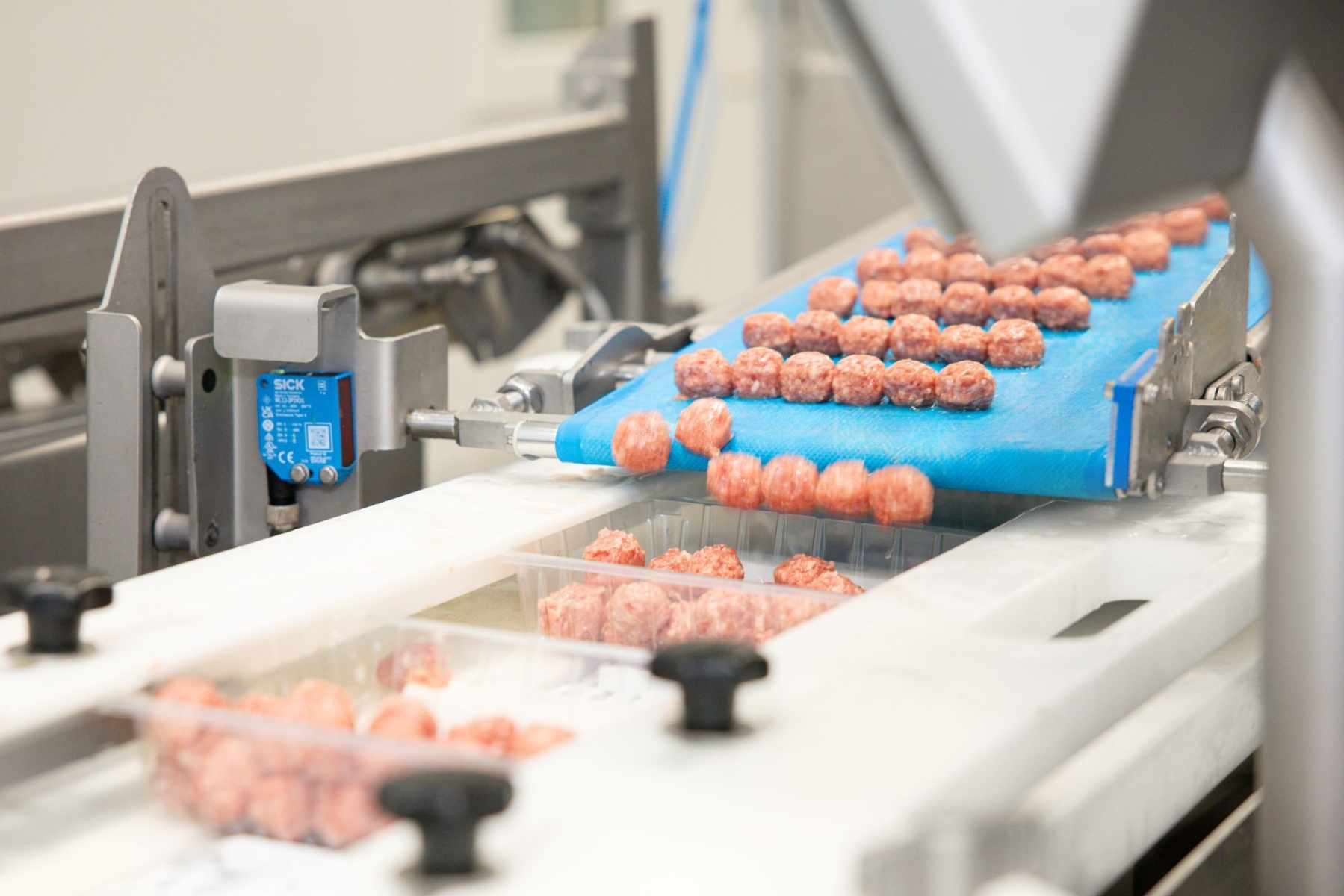 Productie gehaktballen