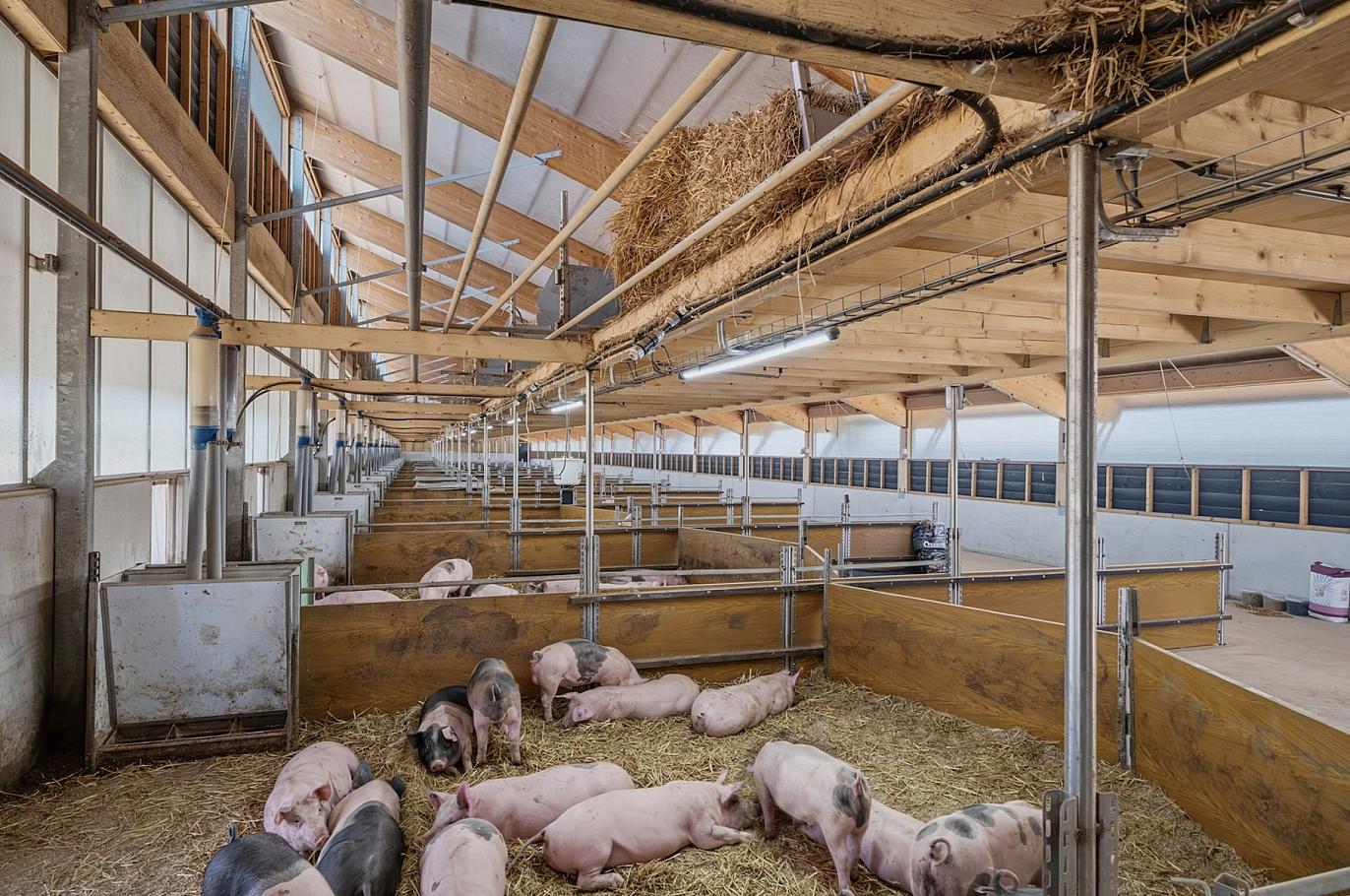 17-DSCF1819-HDR-bewerkt