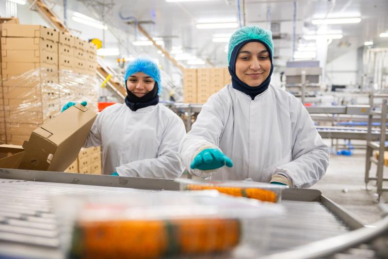 VL Son productie collega's inpakken 