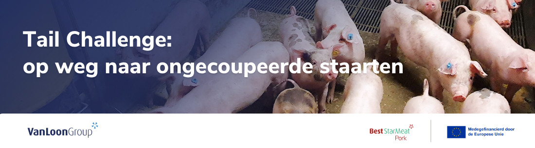 Nieuws thumbnail en banner website (4)