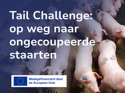 Nieuws thumbnail en banner website (5)