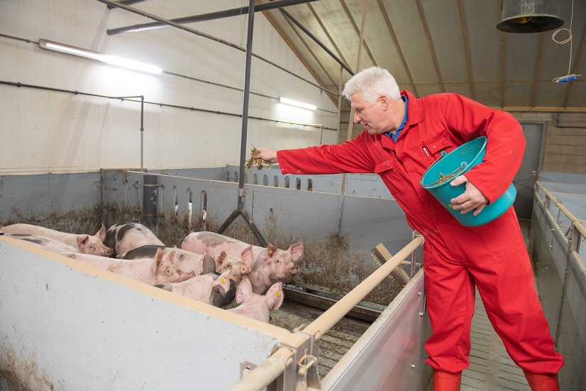 Pig Farmer Andre Borkus