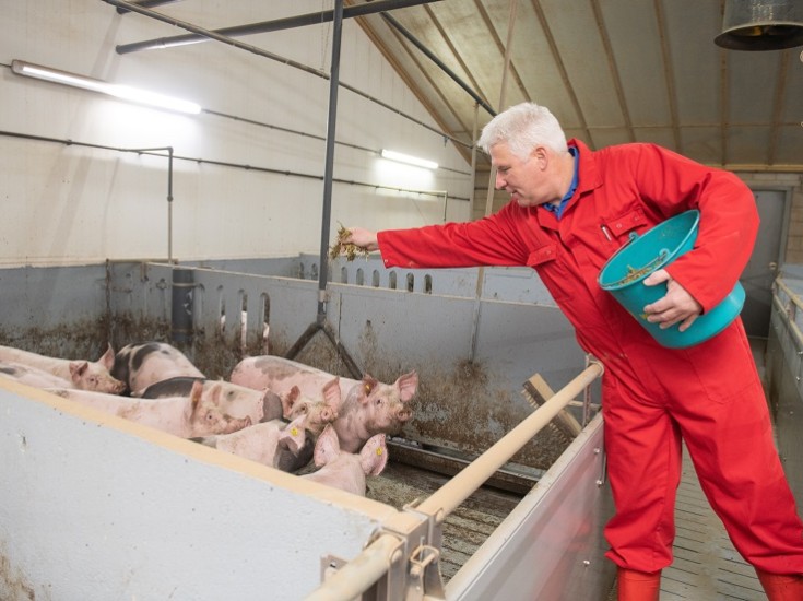 Varkenshouder Varkenshouder Andre Borkus