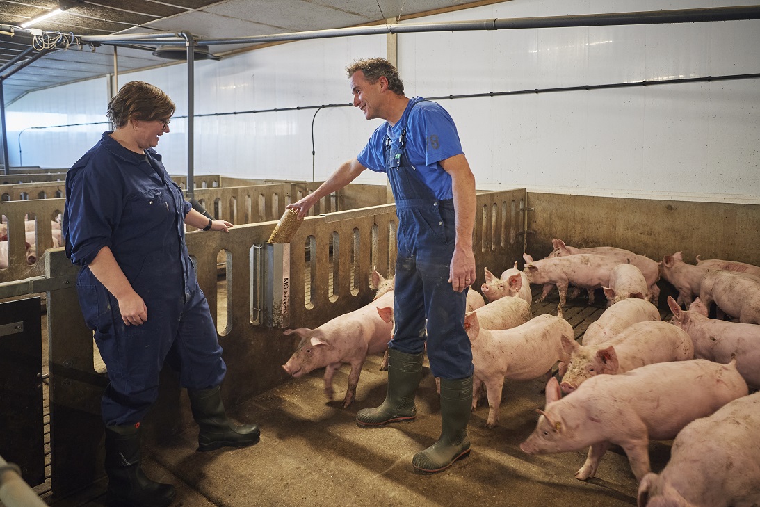 Pig farmer Govert Frederix
