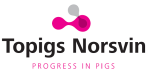 Topigs Norsvin