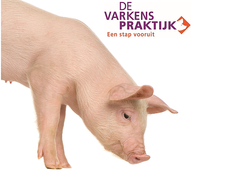 Foto Varkenspraktijk + logo 2