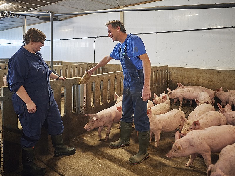 Van Loon Group wil het lekkerste en meest constante stukje varkensvlees leveren voor iedere consument.